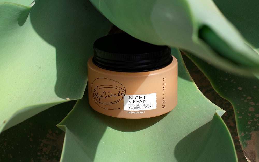 Pro-retinol vs. bakuchiol