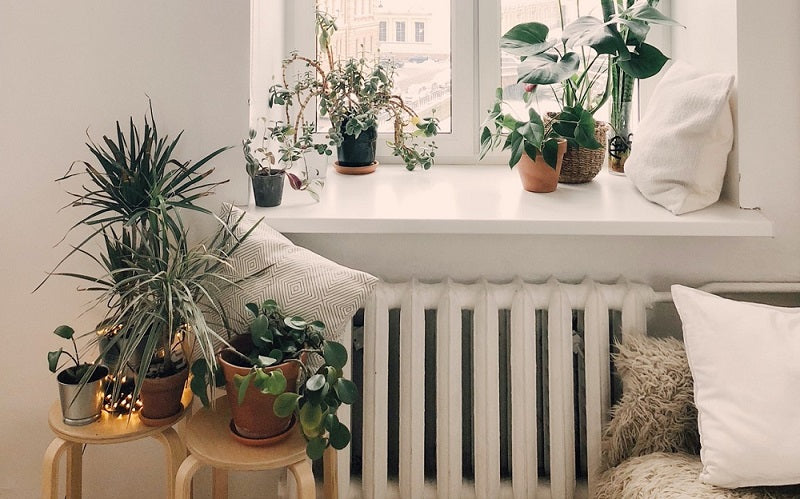 the plant pots of a sustainable future