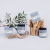 product image-10,Shampoo + Conditioner Haircare Duo