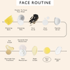 product image-11,UpCircle face routine order of use, with Face Oil circled